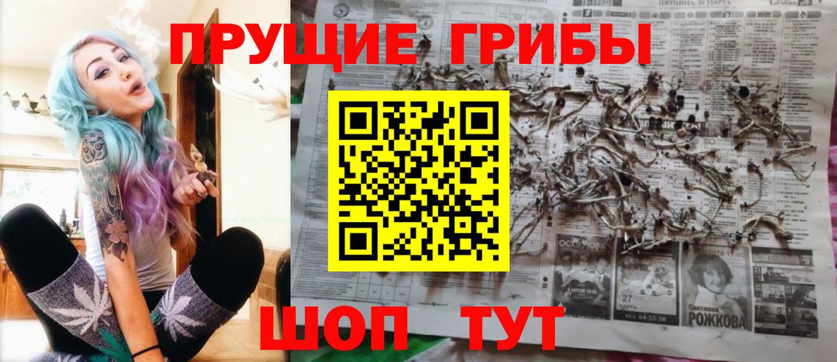 Клин  Псилоцибиновые грибы прущие грибы  Галлюциногенные грибы Psilocybe  Вход с VPN 