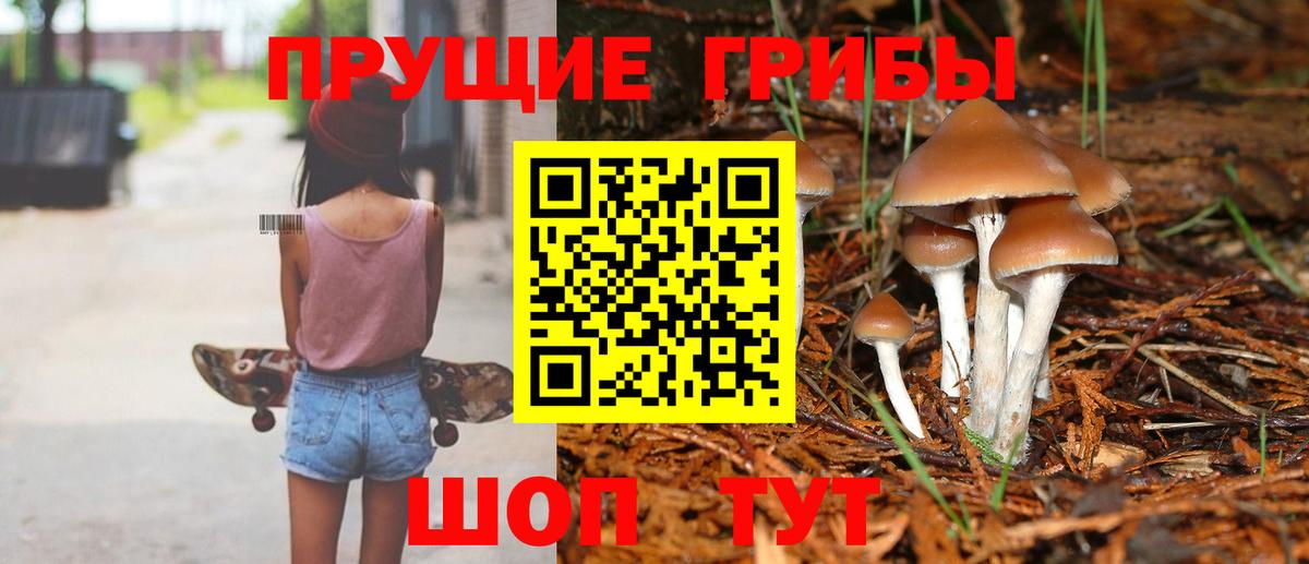 Галлюциногенные грибы Cubensis Клин